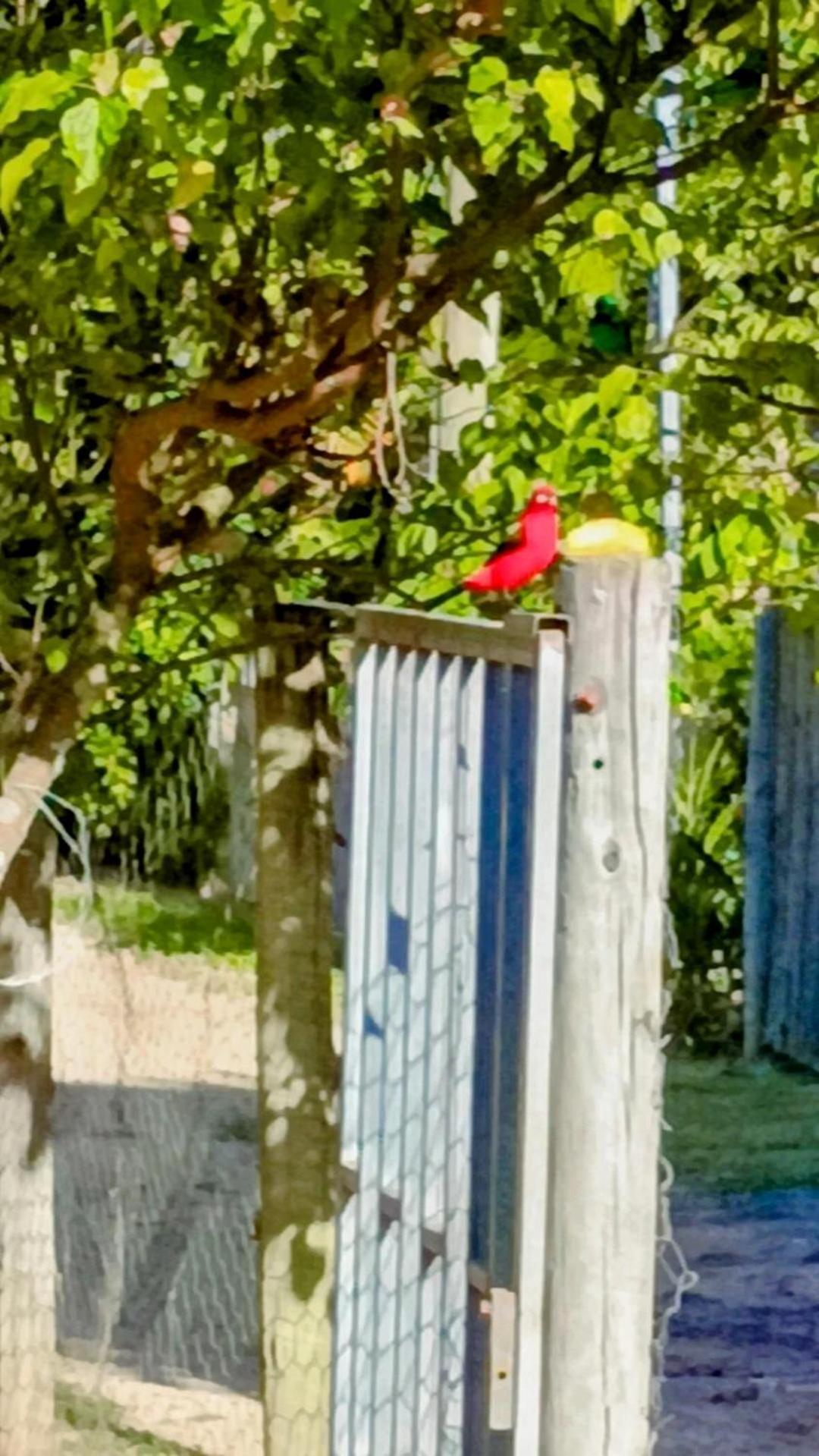 Pousada Casa Da Montanha Sana Dış mekan fotoğraf
